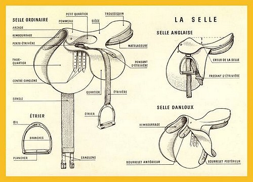 La selle