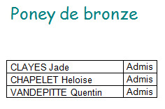 a_galops-bronze
