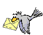 briefdrager