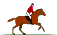 equitation4