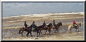 Images d'archives